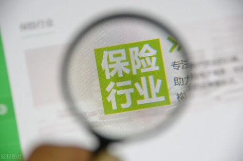 保險代理員的困境與精英化之路 從代理人到經紀人的轉型選擇